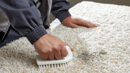 Professional Rug Cleaning Gheringhap